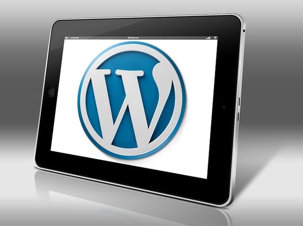 Agence wordpress et seo étrange : pourquoi choisir weird ?
